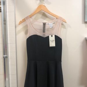 American Rag Black Dress
